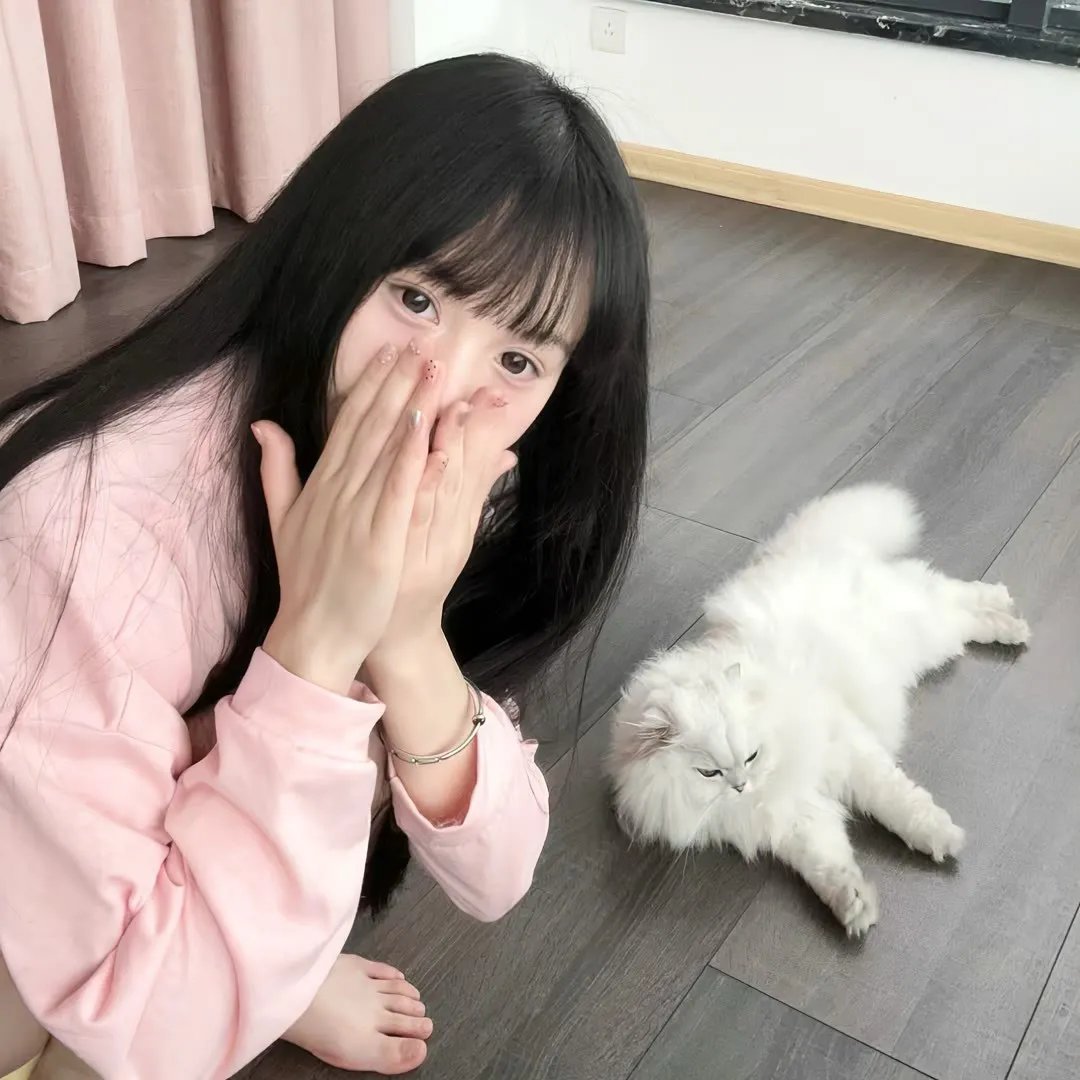 飞吧! 排行封面